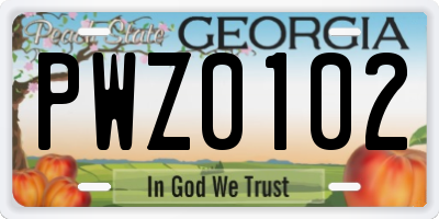 GA license plate PWZ0102