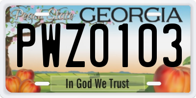GA license plate PWZ0103