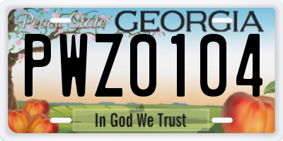 GA license plate PWZ0104