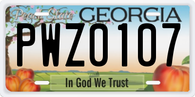 GA license plate PWZ0107