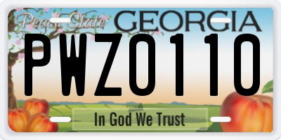 GA license plate PWZ0110