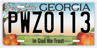 GA license plate PWZ0113