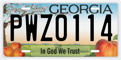GA license plate PWZ0114
