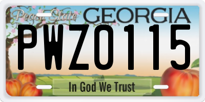 GA license plate PWZ0115