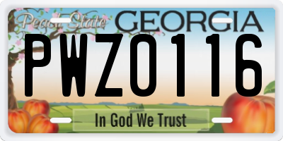 GA license plate PWZ0116