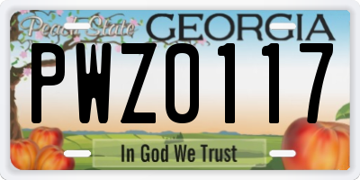 GA license plate PWZ0117