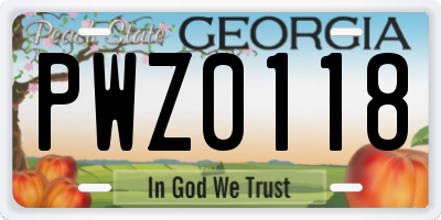 GA license plate PWZ0118
