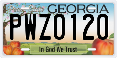 GA license plate PWZ0120