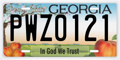 GA license plate PWZ0121