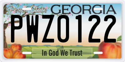 GA license plate PWZ0122