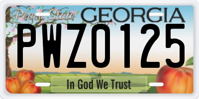 GA license plate PWZ0125