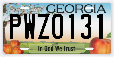 GA license plate PWZ0131