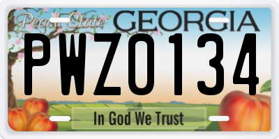 GA license plate PWZ0134