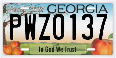 GA license plate PWZ0137