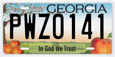 GA license plate PWZ0141