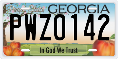 GA license plate PWZ0142