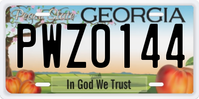 GA license plate PWZ0144