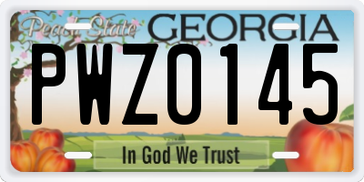 GA license plate PWZ0145