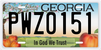 GA license plate PWZ0151