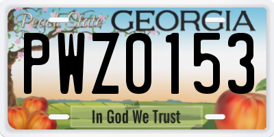 GA license plate PWZ0153