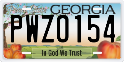 GA license plate PWZ0154