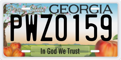 GA license plate PWZ0159