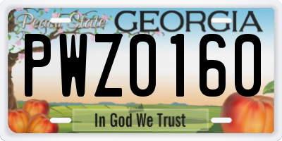 GA license plate PWZ0160