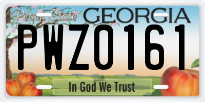 GA license plate PWZ0161