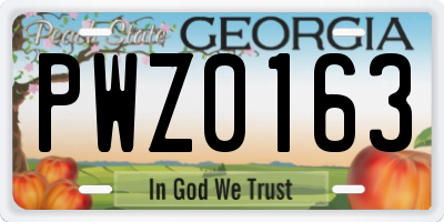 GA license plate PWZ0163