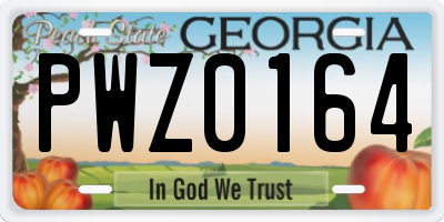 GA license plate PWZ0164