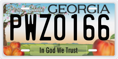 GA license plate PWZ0166