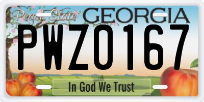 GA license plate PWZ0167