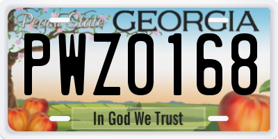 GA license plate PWZ0168