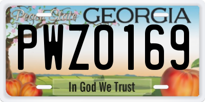 GA license plate PWZ0169