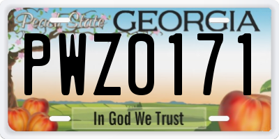 GA license plate PWZ0171