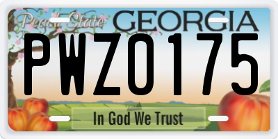 GA license plate PWZ0175