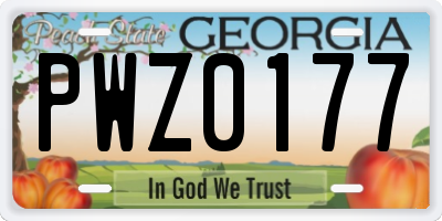 GA license plate PWZ0177