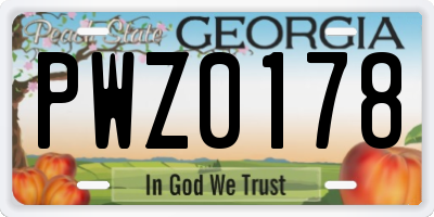 GA license plate PWZ0178