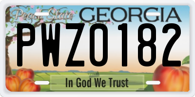 GA license plate PWZ0182