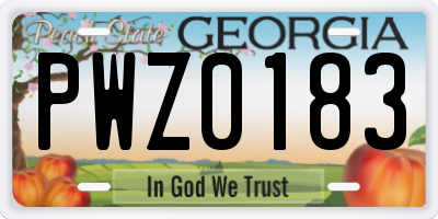 GA license plate PWZ0183