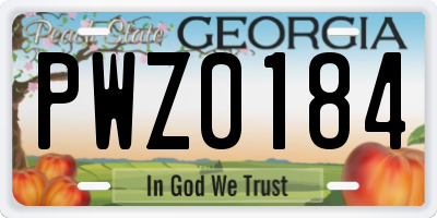 GA license plate PWZ0184