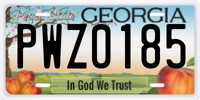 GA license plate PWZ0185