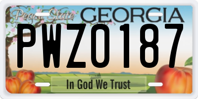 GA license plate PWZ0187