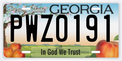 GA license plate PWZ0191