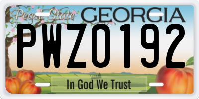 GA license plate PWZ0192