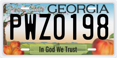 GA license plate PWZ0198