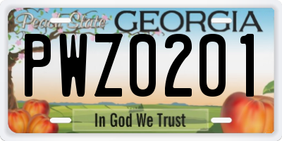 GA license plate PWZ0201