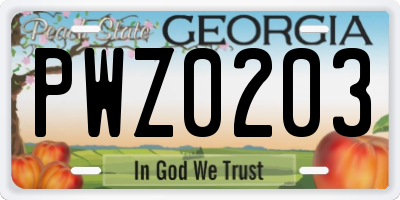 GA license plate PWZ0203