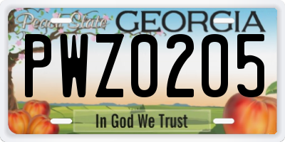 GA license plate PWZ0205