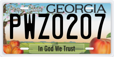 GA license plate PWZ0207